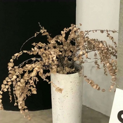 霞山FurryQQ群介绍